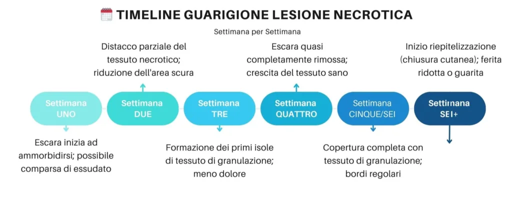Lesione Necrotica: Protocollo di Trattamento Efficace timeline GUARIZIONE di una lesione decrotica